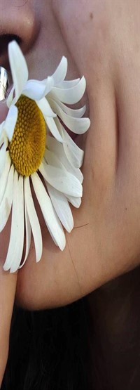 ���� ���� ������ �� ���� ������