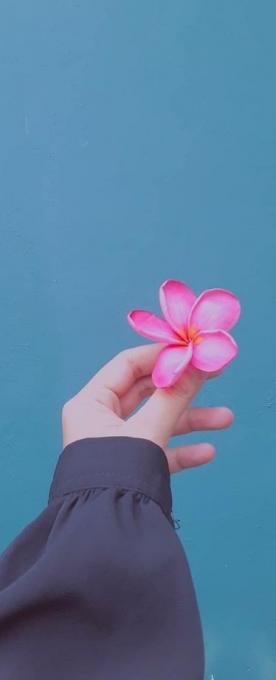 ���� ���� ������ �� ���� ������